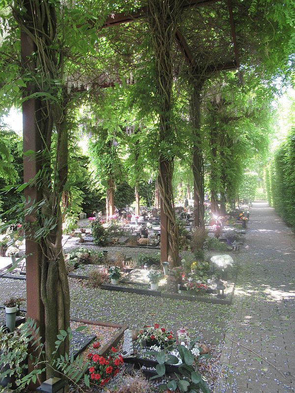 zuylen-pergola